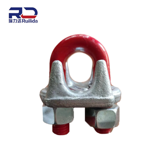China Factory Stainless Steel Wire Rope Clips Loop Clamp